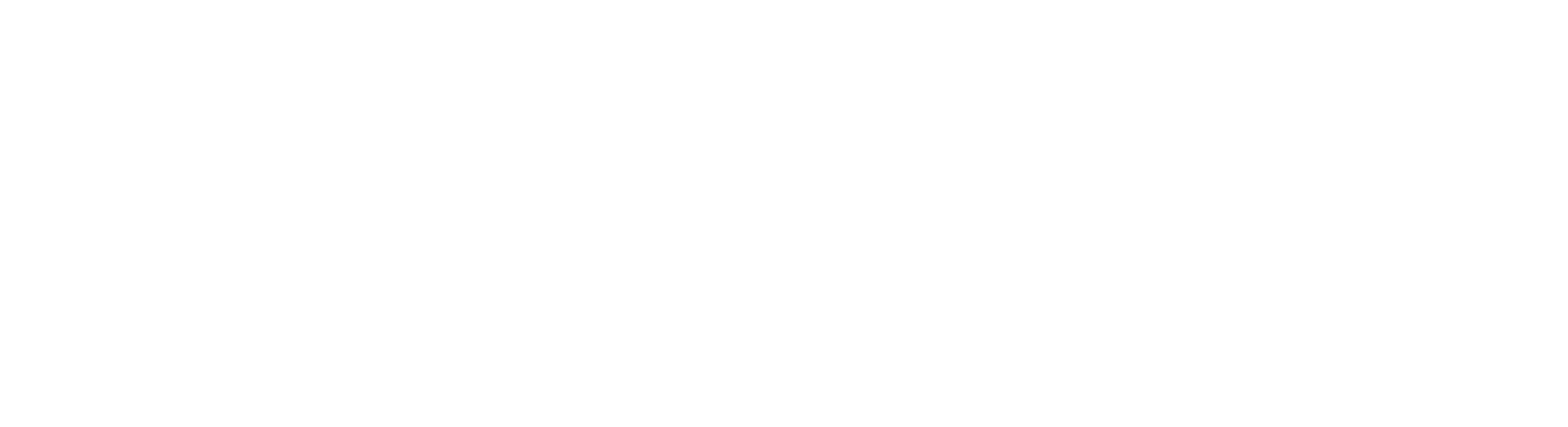 SMZH Logo - White